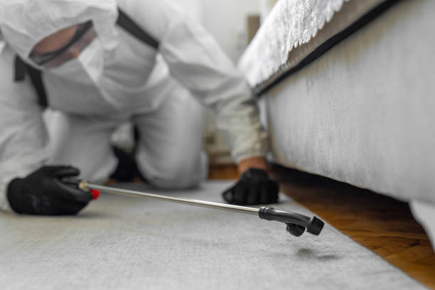 Professional Termite Control technician working in Grill, PA