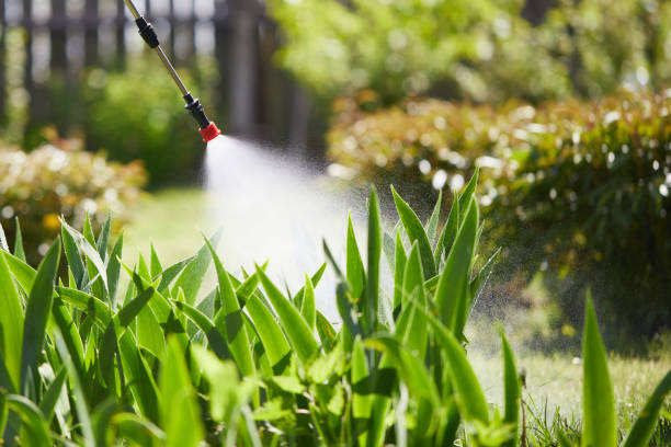 24/7 Emergency Termite Control experts in Grill, PA