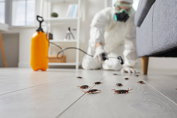 Affordable Termite Control solutions in Grill, PA