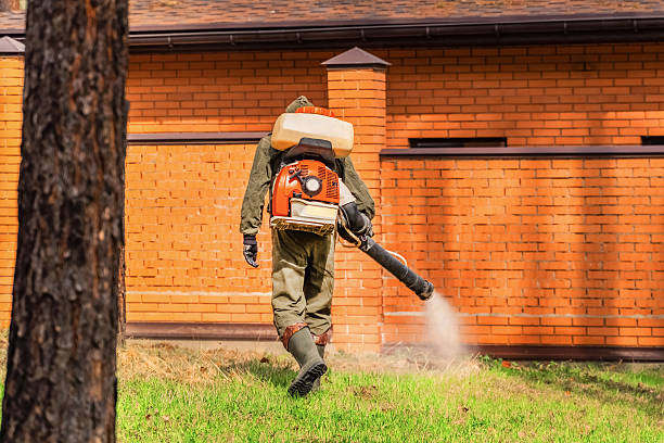 Top rated local Termite Control specialists in Grill, PA